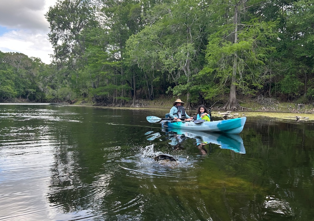 Kayaking down a narrow, tree-lined stretch of the Santa Fe River