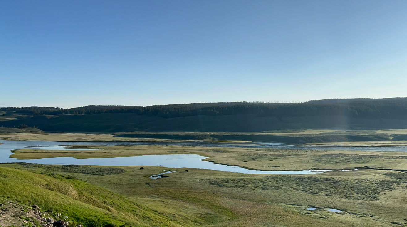 Hayden Valley