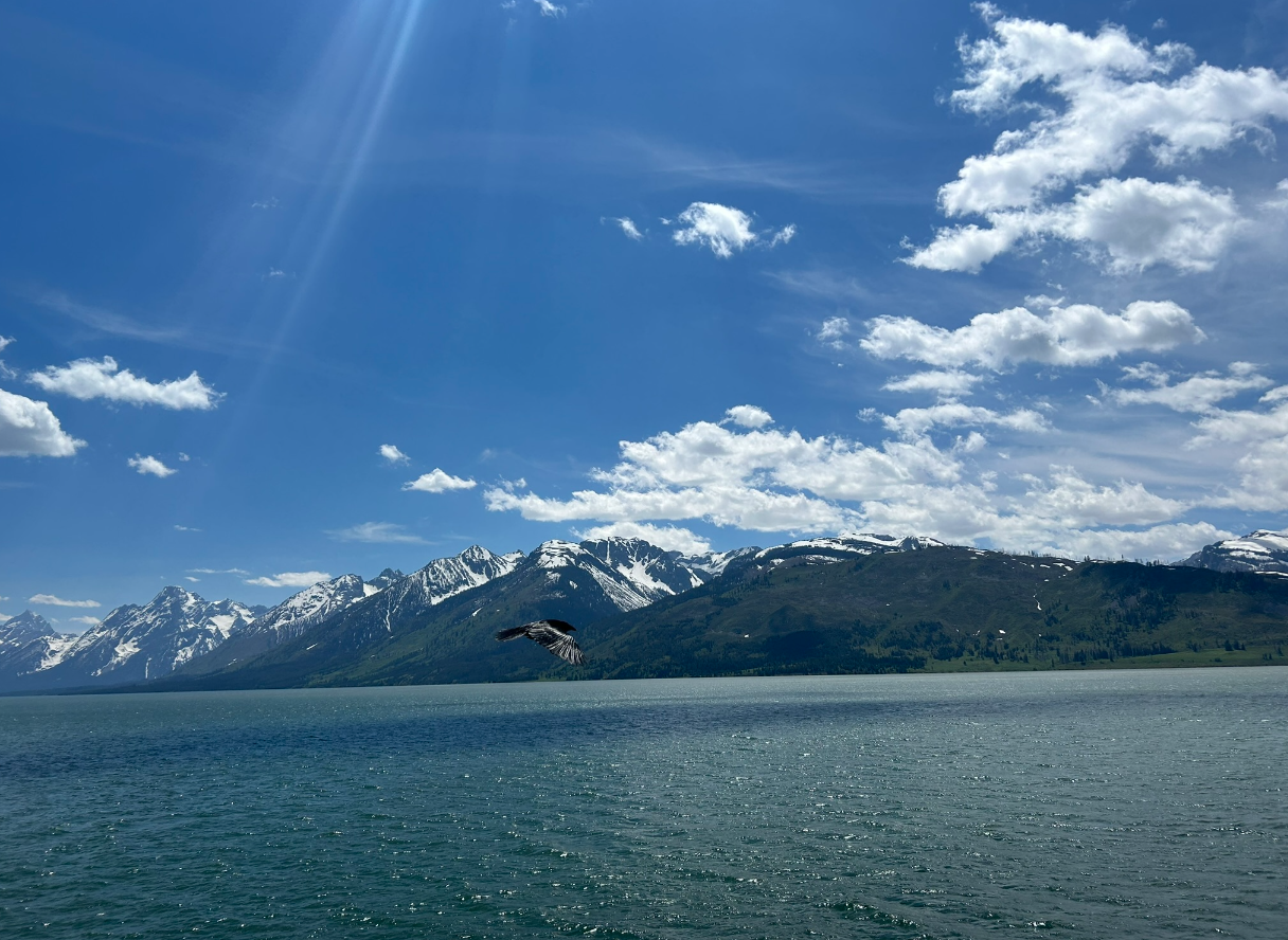 Jackson Lake